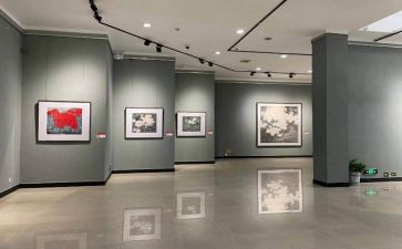 画展活动方案8篇