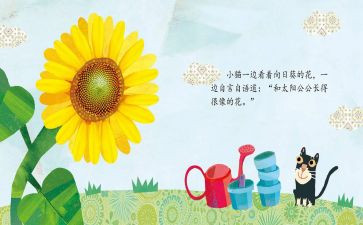 小班绘本《圆》教案模板5篇
