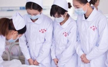 护理质量组工作总结通用5篇