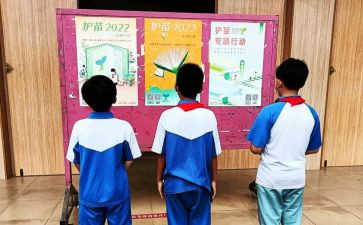 2023年护苗行动心得体会6篇