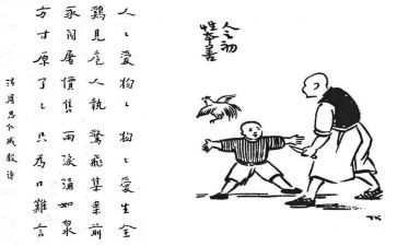 保护生态文明建设心得体会7篇