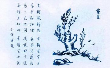 护生的自我鉴定7篇
