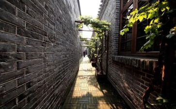 读将军胡同读后感7篇