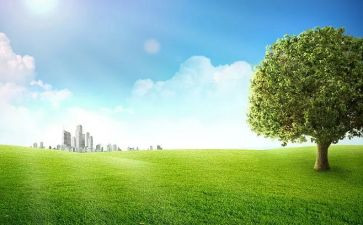2024年户外活动总结推荐7篇