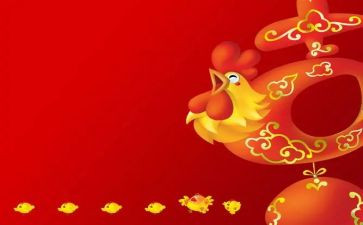 大班关于鸡的教案通用6篇