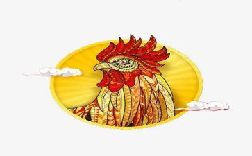 大班关于鸡的教案7篇