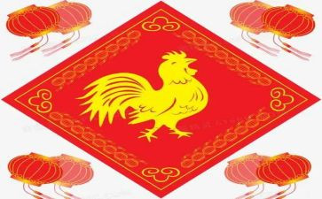 救小鸡作文6篇
