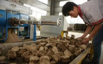 外加工工作总结参考7篇