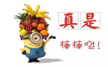 2024个人嘉奖事迹材料6篇