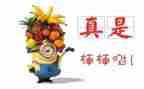 2024个人嘉奖事迹材料6篇