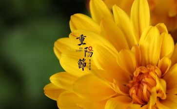 中秋佳节演讲稿优质5篇