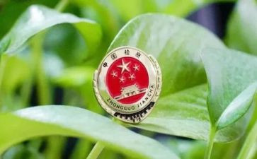 检察年度总结6篇
