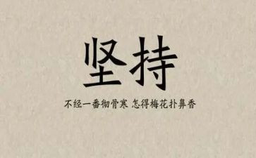 我在坚持的作文模板8篇