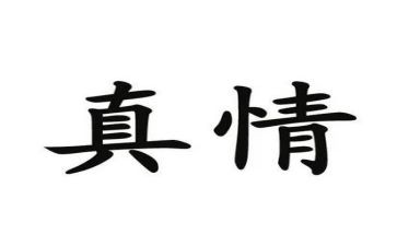真情的作文300字5篇