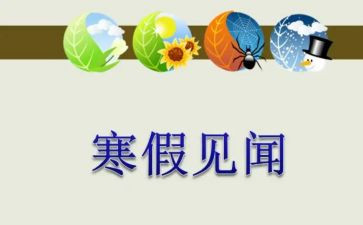 端午见闻作文600字最新5篇