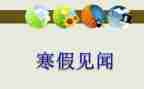 端午见闻作文600字最新5篇