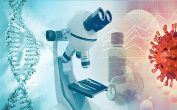 检验2024年终个人总结优秀7篇