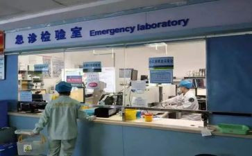 检验室个人述职报告8篇
