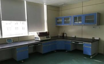 检验室工作总结6篇