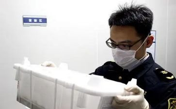动物检疫员工作总结8篇
