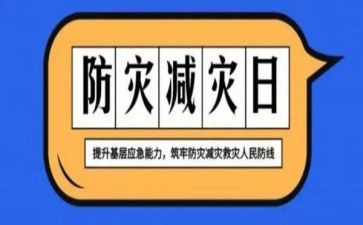 2024年防灾减灾宣传活动总结6篇