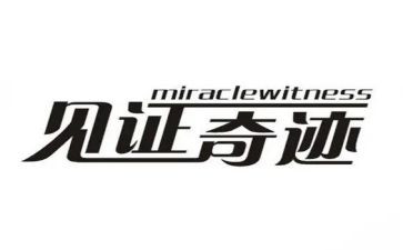 见证心得体会优秀5篇