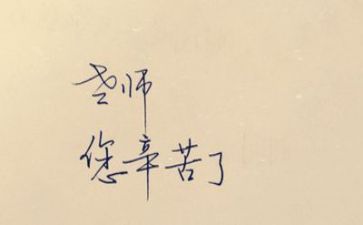 17教师工作总结参考7篇