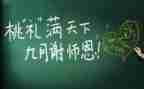 培训教师安全总结7篇
