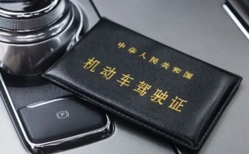 审驾照心得体会6篇