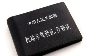 学驾照心得体会8篇