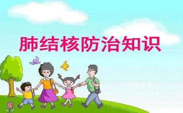 2024年结核病年终总结5篇