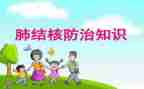 2024年结核病年终总结5篇