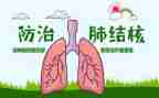 2024年结核病防治工作总结7篇