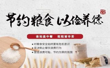 节粮食的演讲稿优质7篇