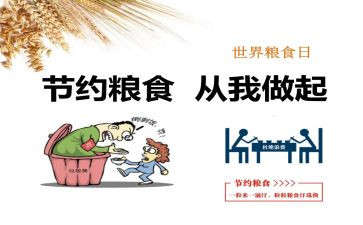 节粮食的演讲稿模板7篇
