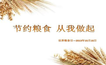 节粮食的演讲稿最新8篇