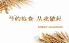 节粮食的演讲稿最新8篇