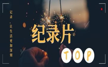 公司的力量纪录片观后感6篇