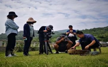 看故宫纪录片写观后感6篇