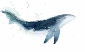 作文鲸的自述500字模板6篇