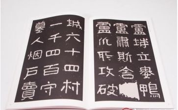 教师晋高级述职报告范文最新6篇