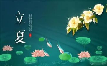24节气小满教案6篇