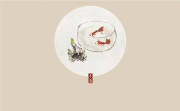 节气教案精选8篇