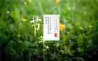 大班节气歌教案优秀7篇