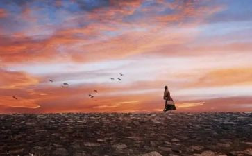 讲经历的作文优质8篇