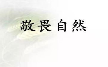 敬畏的心得体会7篇