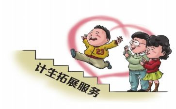 计生协会半年总结5篇