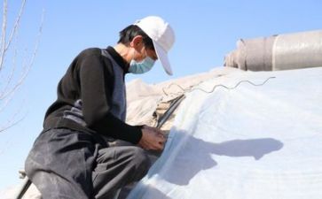 2024年专业技术个人总结7篇