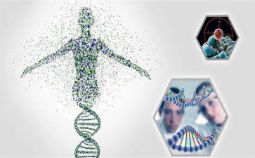传承红色基因心得体会2023优质7篇