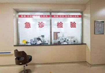 急诊科2024工作总结报告7篇